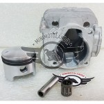 Cilindro E Pistone Motore Decespugliatore 53cc 2,5cv