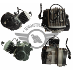 Motore Per Minicross Aria Professional Tipo Morini 50cc Aria