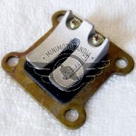 Pacco Lamellare In Carbonio Per Minimoto Aria 49cc