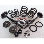 Set Revisione di valvole e piattelli Pit Bike YX 140cc